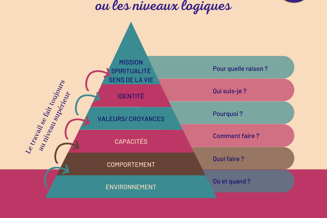 Niveaux neurologiques
