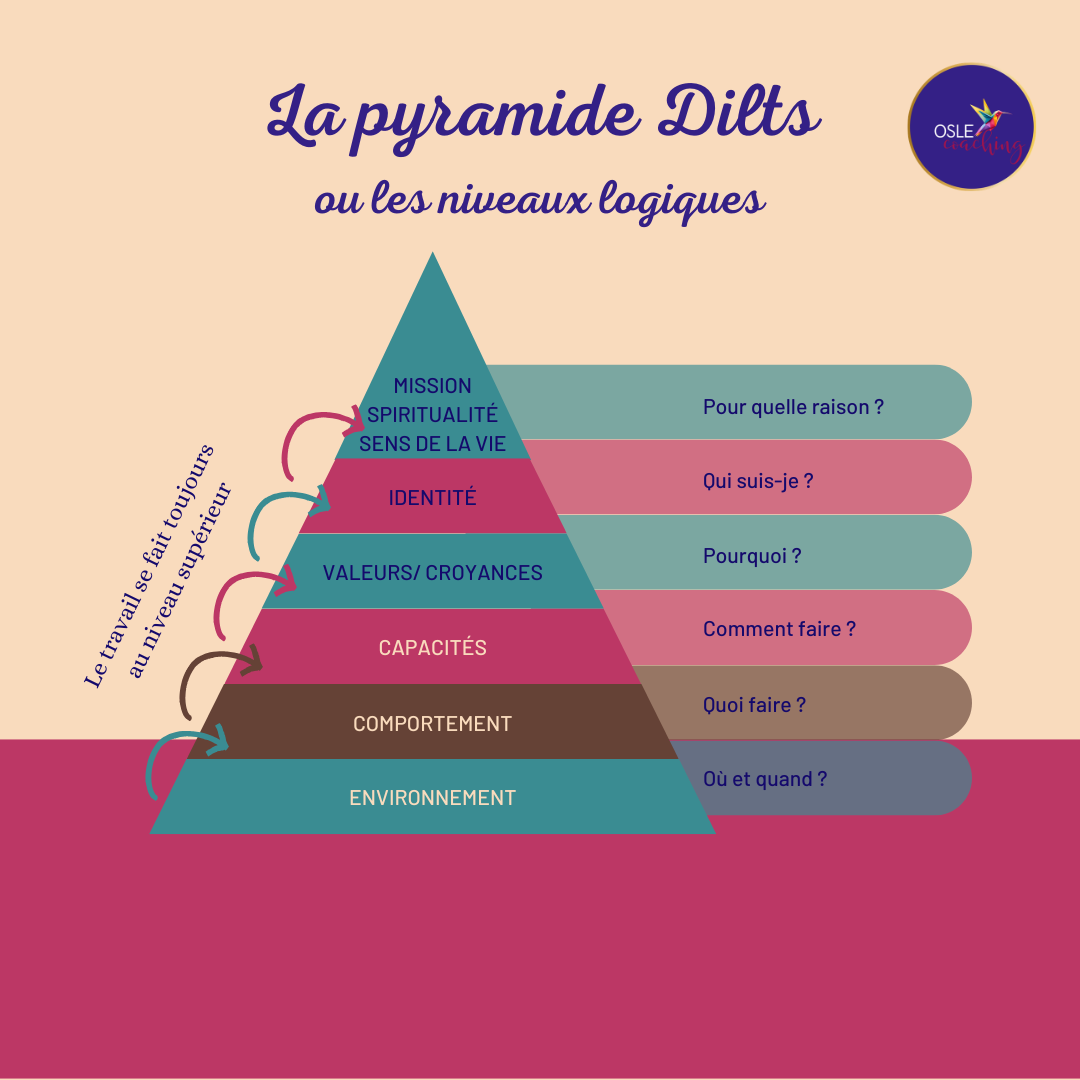 Niveaux neurologiques